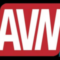 2023年 AVN 获奖名单（节选）